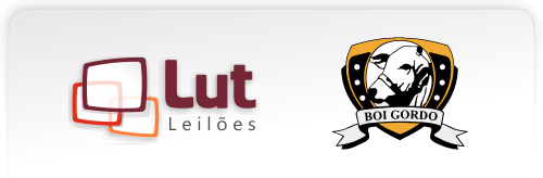 Lut Leilões